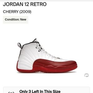 Nike Air Jordan 12 (Cherry 2009 Release) Size 10 Men/11.5 Women